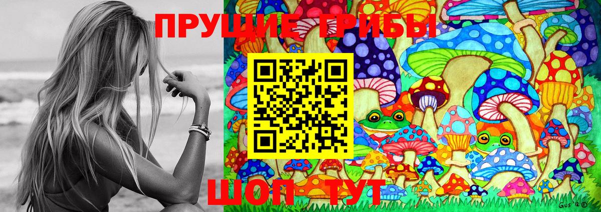 Ступино  закладка  Вход с VPN  Псилоцибиновые грибы ЛСД 